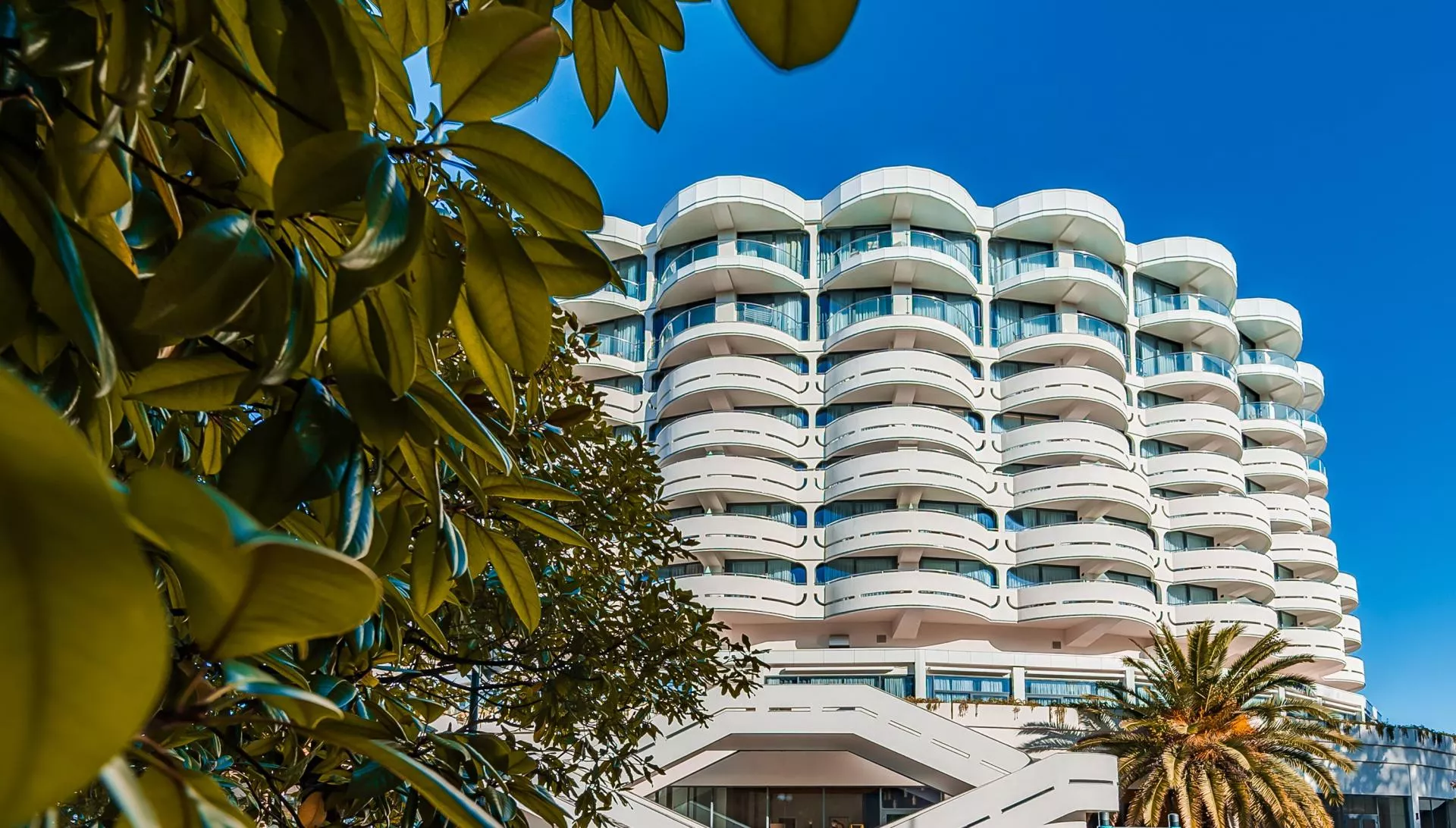 Cosmos Stay Le Rond Sochi